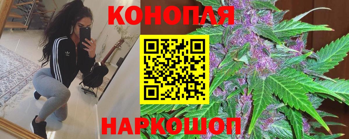 Бошки Шишки гибрид Минусинск